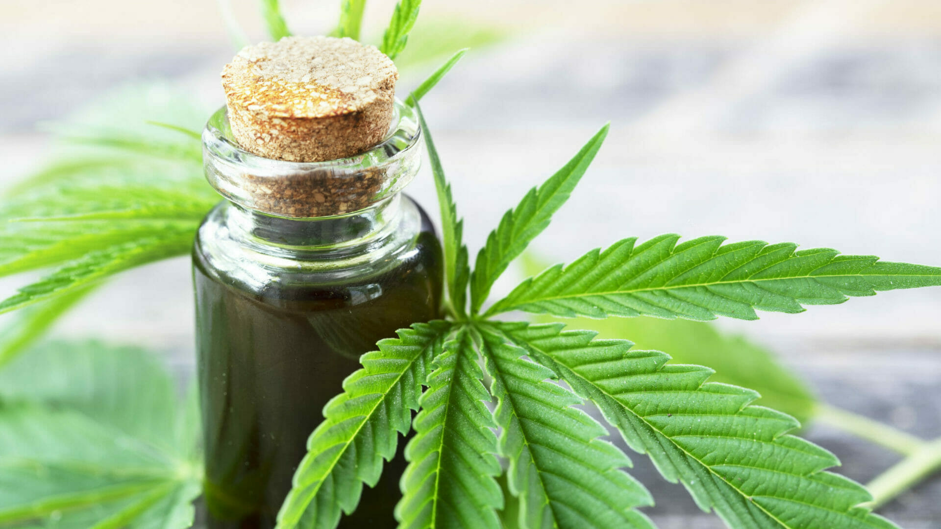 陰謀の基本中の基本「大麻」と「アヘン」について